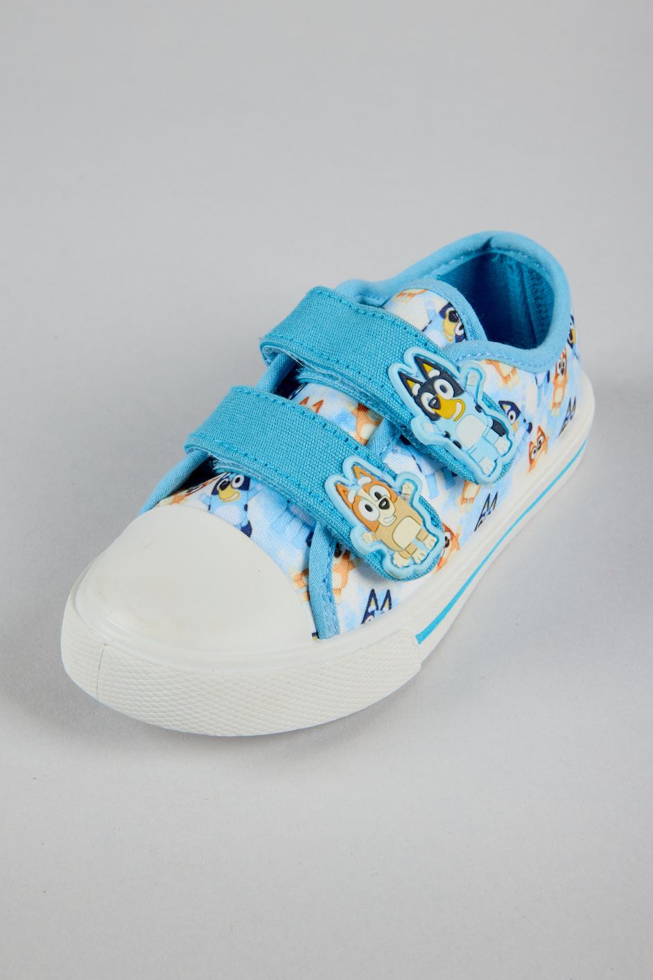 BLUEY ALDO CANVAS